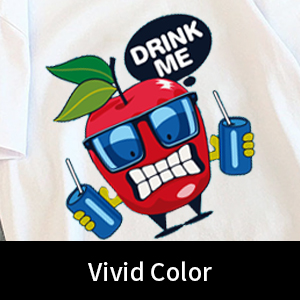 A4 / A3 DTF Printer Film Cold Peel 75U Ketebalan PET Release Film Non Adhesive 2