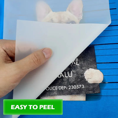 Maksimalkan Potensi Pencetakan Anda dengan Bahan Pencetakan DTF 30cm*100m 75U Release Pet Film Roll Double-sided Cold Peel