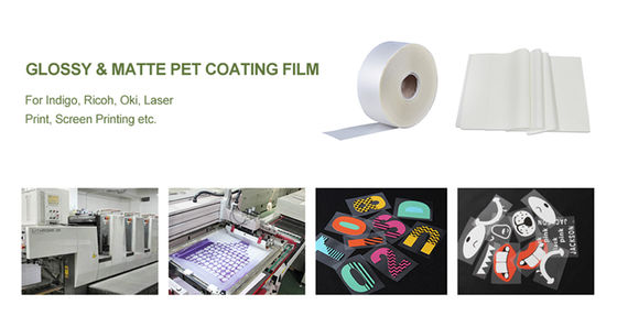 48*64cm Water Based Ink PET Offset Printing Film Resistensi Kimia 75mic PET release film