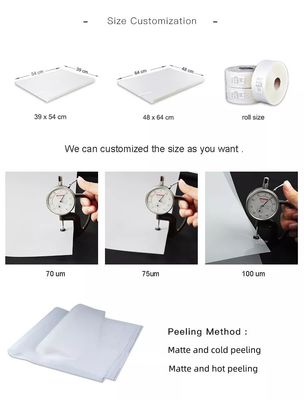 100 Micron Screen Printing PET Release Film Matte Polyester Film untuk Offset Printing