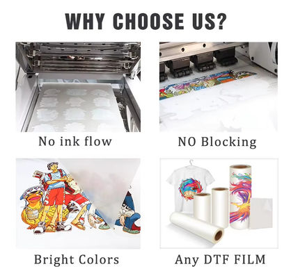PET Transfer DTF Tinta Berbasis Air CMYK+W Warna Tinta DTF Tinta Printer untuk Tekstil